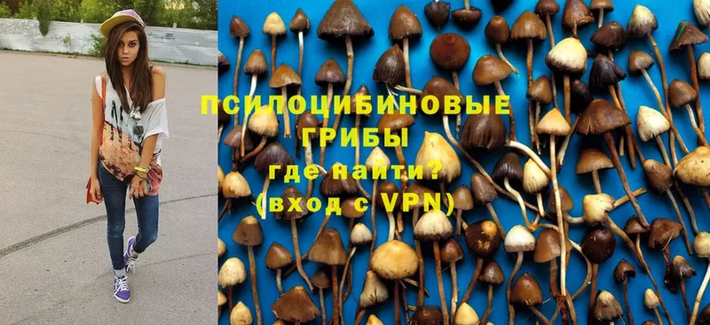 Галлюциногенные грибы Magic Shrooms  Туран 